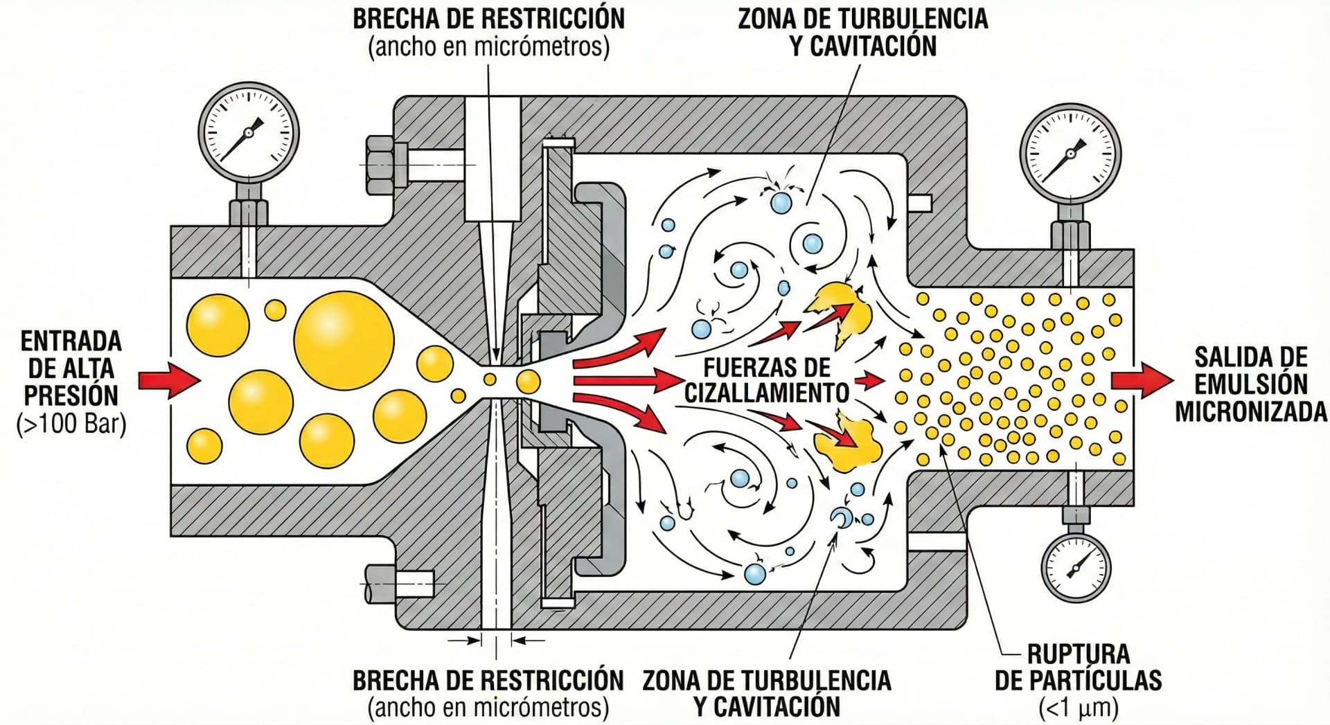 Sistema de Homogeneización