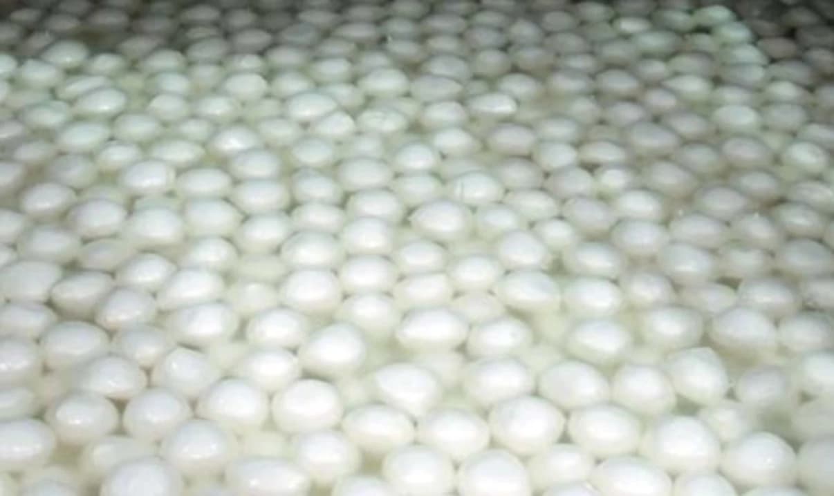 Moldeadora de Bolas de Mozzarella thumbnail 4