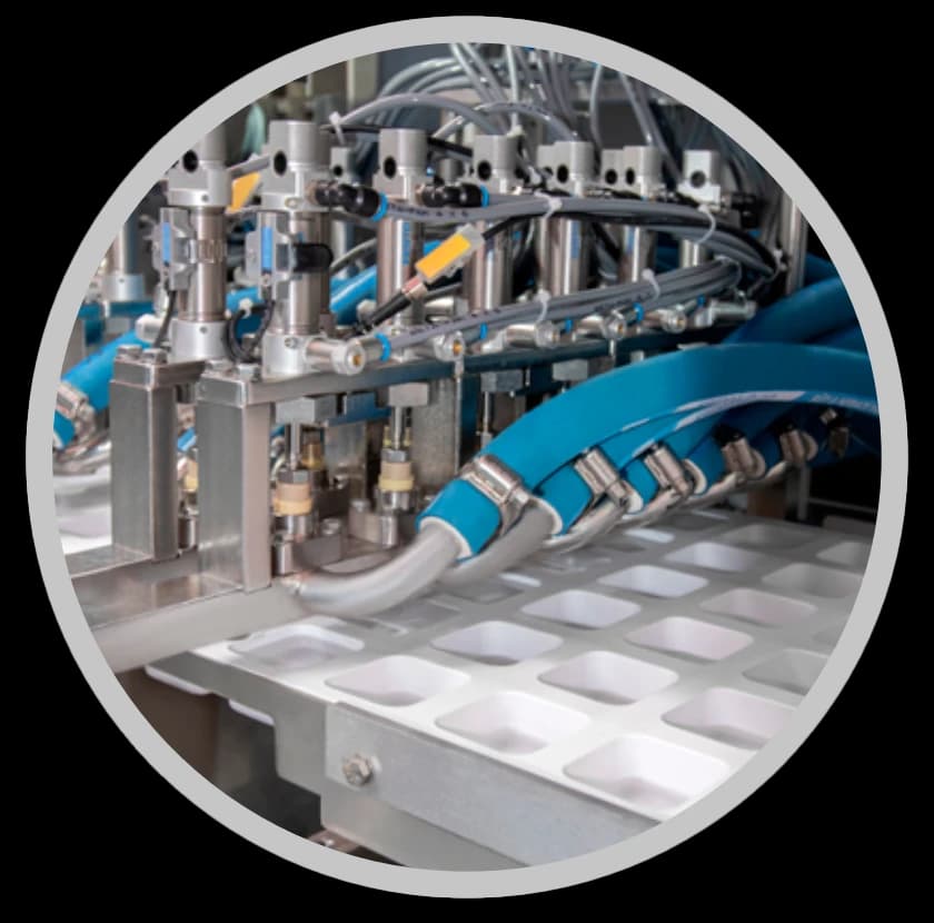 Termoformadora Llenadora de Mini Porciones